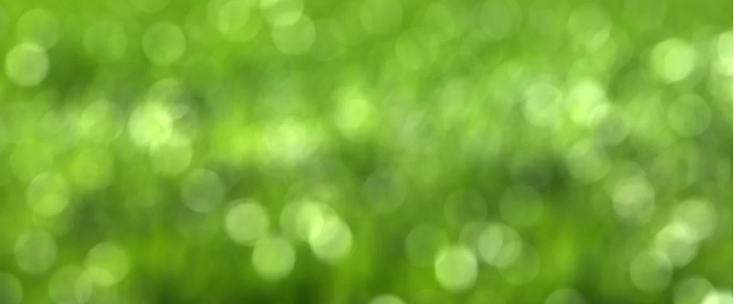 A highly optimized image